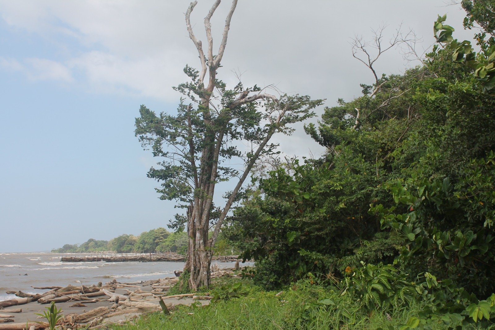 Lote Con Playa para la Venta