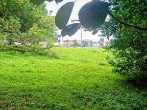 Lote Para Edificio O Bodega en el Barrio Rosales