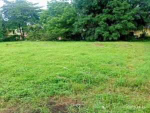 Lote Para Edificio O Bodega en el Barrio Rosales