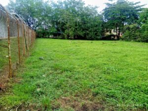 Lote Para Edificio O Bodega en el Barrio Rosales