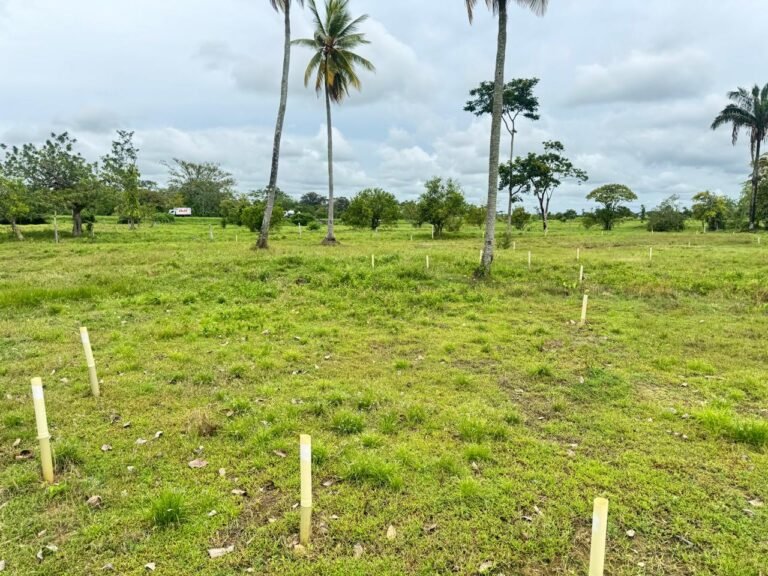 Lote 84 Mts El Reposo (1)