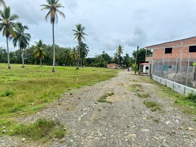 Lote 84 Mts El Reposo (2)