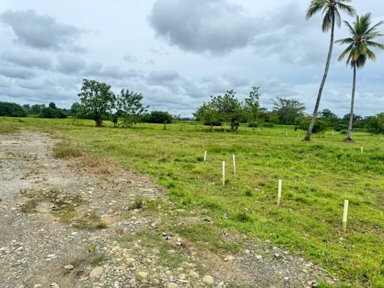 Lote 84 Mts El Reposo (3)