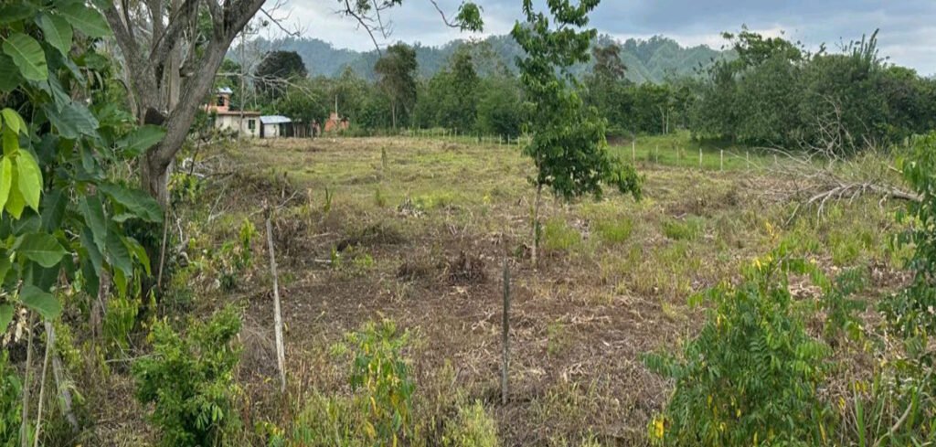Lote Estrategico en Venta El Tres Turbo 8228m2